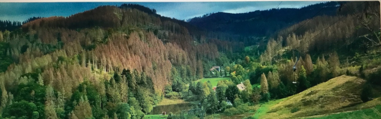 Blick vom Mariensblick 09.2021 - (c) Wolfgang Gärtner